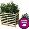 FloraSelf 35 X Kirschlorbeer, Lorbeerkirsche Prunus Laurocerasus 'Caucasica' H 80-100 Cm ClickCo Für Ca. 14 M Hecke -Florasellf Geschaft DV 8 10013271 04 4c DE 20200220154757