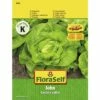 Kopfsalat 'John' FloraSelf Samenfestes Saatgut Salatsamen