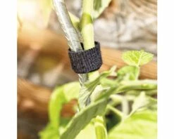 Universal-Klettbinder FloraSelf 12mm X 5m 7 Universal-Klettbinder FloraSelf 12mm X 5m -Florasellf Geschaft DV 8 10356589 02 4c AT 20201113081755