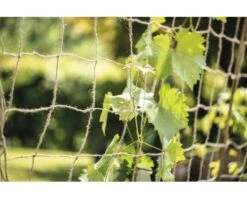 Jute Ranknetz FloraSelf Nature 180x250cm -Florasellf Geschaft DV 8 10356592 03 4c AT 20201111181800