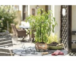 FloraSelf Blumenstützen Blumenhalter Ø 10 Cm 1 Stk. -Florasellf Geschaft DV 8 10356597 03 4c AT 20201112161751