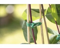 Pflanzclips FloraSelf MINI 15 Stk, Grün -Florasellf Geschaft DV 8 10356618 03 4c AT 20201112164752