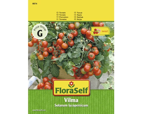 Tomate 'Vilma' FloraSelf F1 Hybride Gemüsesamen 3 Tomate 'Vilma' FloraSelf F1 Hybride Gemüsesamen