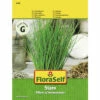 Schnittlauch 'Staro' FloraSelf F1 Hybride Kräutersamen