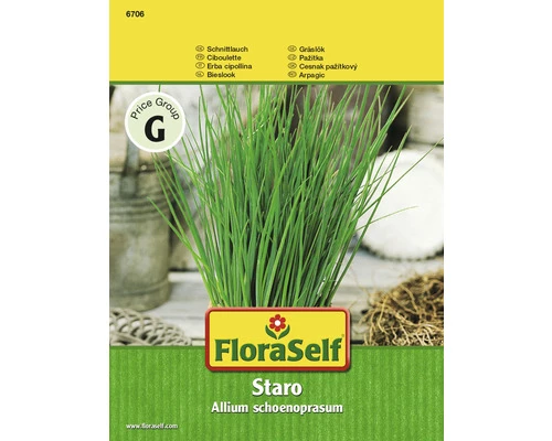 Schnittlauch 'Staro' FloraSelf F1 Hybride Kräutersamen 3 Schnittlauch 'Staro' FloraSelf F1 Hybride Kräutersamen