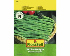 Stangenbohnen 'Neckarkönigin' FloraSelf Samenfestes Saatgut Gemüsesamen