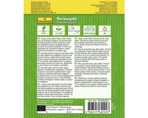 Stangenbohnen 'Neckargold' FloraSelf Samenfestes Saatgut Gemüsesamen 4 Stangenbohnen 'Neckargold' FloraSelf Samenfestes Saatgut Gemüsesamen – Bild 2