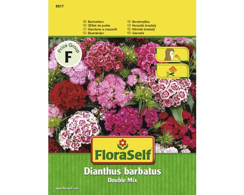 Bartnelke 'Double Mix' FloraSelf Samenfestes Saatgut Blumensamen 3 Bartnelke 'Double Mix' FloraSelf Samenfestes Saatgut Blumensamen
