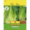 Weißkohl 'Filderkraut' FloraSelf Samenfestes Saatgut Gemüsesamen -Florasellf Geschaft DV 8 10476093 01 4c AT 20220114084650