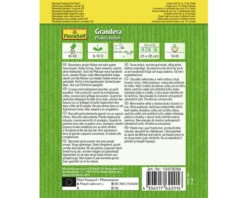 Markerbse 'Grandera' FloraSelf Samenfestes Saatgut Gemüsesamen -Florasellf Geschaft DV 8 10476094 01 4c AT 20220114084650