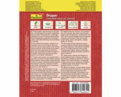 Knollenfenchel 'Dragon' FloraSelf F1 Hybride Gemüsesamen -Florasellf Geschaft DV 8 10476095 01 4c AT 20220114084650