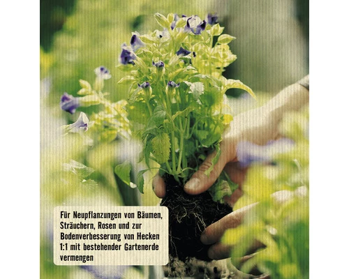 Pflanzerde FloraSelf Select (45 Sack X 60 Liter = 2,7 M³) 1 Palette 4 Pflanzerde FloraSelf Select (45 Sack X 60 Liter = 2,7 M³) 1 Palette – Bild 2