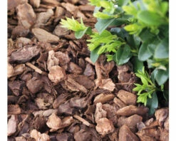 Pinienrinde FloraSelf 20-40 Mm Grob (45 Sack X 50 Liter= 2,25 M³) 1 Palette -Florasellf Geschaft DV 8 10499992 04 4c DE 20220407164752