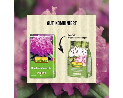 Rhododendron - & Moorbeetpflanzenerde FloraSelf (54 Sack X 40 Liter = 2,16 M³) 1 Palette 6 Rhododendron - & Moorbeetpflanzenerde FloraSelf (54 Sack X 40 Liter = 2,16 M³) 1 Palette – Bild 4