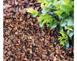 Pinienrinde Fein 7-15 Mm FloraSelf (45 Sack X 50 Liter = 2,25 M³) 1 Palette 13 Pinienrinde Fein 7-15 Mm FloraSelf (45 Sack X 50 Liter = 2,25 M³) 1 Palette -Florasellf Geschaft DV 8 10535862 04 4c DE 20220413174658