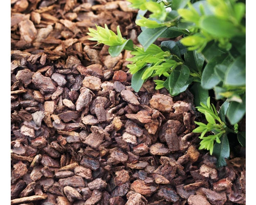 Pinienrinde Mittel 15-25 Mm FloraSelf (45 Sack X 50 Liter = 2,25 M³) 1 Palette 8 Pinienrinde Mittel 15-25 Mm FloraSelf (45 Sack X 50 Liter = 2,25 M³) 1 Palette – Bild 6