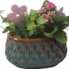 Zimmerpflanzen Arrangement FloraSelf Ø 17 Cm Keramikschale Muster Blau 2 Pflanzen