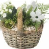 Zimmerpflanzen Arrangement FloraSelf Ø 19 Cm Pflanzkorb Schilf 2 Pflanzen -Florasellf Geschaft DV 8 10620855 01 4c NL 20221214104933