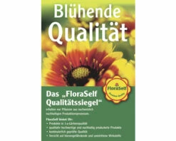 Tillandsie, Louisianamoos Ampel FloraSelf Tillandsia Usneoides FloraSelf H 30-50 Cm 15 Tillandsie, Louisianamoos Ampel FloraSelf Tillandsia Usneoides FloraSelf H 30-50 Cm -Florasellf Geschaft DV 8 2314661 01 4c DE 20210929121752 4