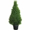 Sicheltanne FloraSelf Cryptomeria Japonica 'Elegans' H 140-160 Cm Co 35 L