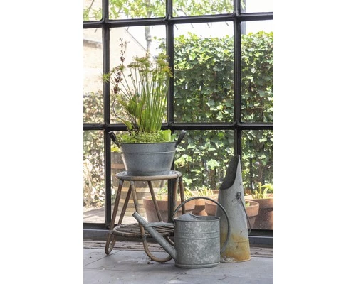 Miniteich FloraSelf Mit Pflanzen Inkl. Treibring Ø 40 Cm Zink-Schale 3 Miniteich FloraSelf Mit Pflanzen Inkl. Treibring Ø 40 Cm Zink-Schale