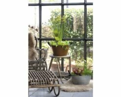 Miniteich FloraSelf Mit Pflanzen Inkl. Treibring Ø 40 Cm Zink-Schale Rost