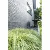 Segge FloraSelf Carex Oshimensis 'Evergold' H 5-15 Cm T 14 Cm -Florasellf Geschaft DV 8 5093951 02 4c DE 20210113091658