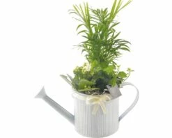 Arrangement FloraSelf Giesskanne H 38-40 Cm Ø 13 Cm Topf