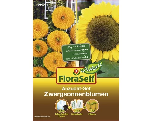 Anzucht-Set Zwergsonnenblumen Blumensamen FloraSelf Nature 3 Anzucht-Set Zwergsonnenblumen Blumensamen FloraSelf Nature
