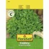 Basilikum Feinblättrig FloraSelf Samenfestes Saatgut Kräutersamen -Florasellf Geschaft DV 8 6202890 01 4c AT 20190410143024