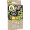 Lockstoff FloraSelf Nature Pflaumenwickler Für Multifalle 2 Stk -Florasellf Geschaft DV 8 6206763 01 4c RO 20230327174756