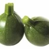 Zucchini FloraSelf Cucurbita Pepo 'Satelite' Ø 10,5 Cm Topf -Florasellf Geschaft DV 8 6254022 01 4c DE 20200418214654
