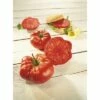 Fleischtomate 'Buffalo Steak' F1 FloraSelf Ø 12 Cm Topf Veredelt -Florasellf Geschaft DV 8 6272281 01 4c DE 20200501051659