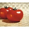 Fleischtomate 'Fantasio' F1 FloraSelf Ø 12 Cm Topf Veredelt 2 Fleischtomate 'Fantasio' F1 FloraSelf Ø 12 Cm Topf Veredelt -Florasellf Geschaft DV 8 6272287 01 4c DE 20200501051659