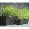 Rutenhirse FloraSelf Panicum Virgatum 'Prairie Sky' H 20-60 Cm Co 3 L