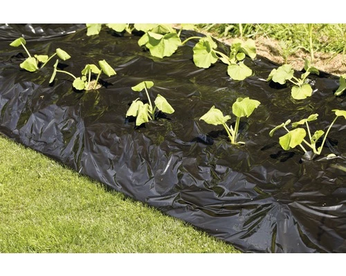 Mulchfolie FloraSelf 10x1,2 M Schwarz 4 Mulchfolie FloraSelf 10x1,2 M Schwarz – Bild 2