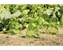 Pflanzenhut FloraSelf Ø 19,5 H 23 Cm 10 Stk -Florasellf Geschaft DV 8 6425358 02 4c DE 20180308232759