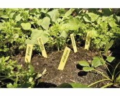Pflanzenschilder, Holz-Stecketiketten FloraSelf 25 Stk -Florasellf Geschaft DV 8 6425393 01 4c DE 20180308211636