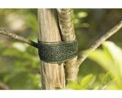 Baumbinder FloraSelf Kunststoff 3 M 3 Stk