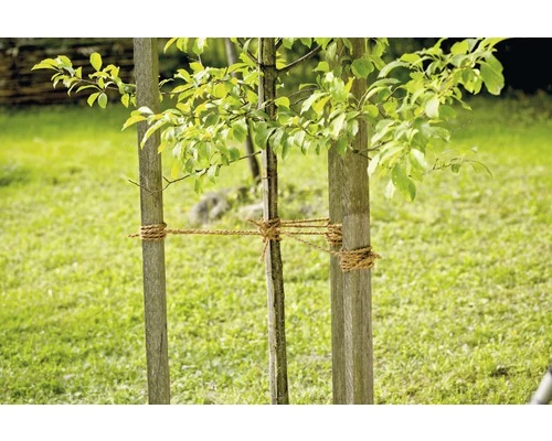 Gartenschnur FloraSelf Jute 250 M 3 Gartenschnur FloraSelf Jute 250 M