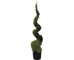 Gelbe Leyland-Zypresse FloraSelf Cupressocyparis Leylandii 'Castlewellan Gold' H 200-220 Cm Co 70 L