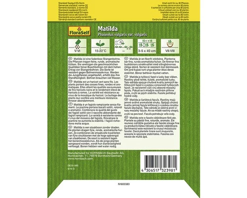 Stangenbohne 'Matilda' FloraSelf Samenfestes Saatgut Gemüsesamen 4 Stangenbohne 'Matilda' FloraSelf Samenfestes Saatgut Gemüsesamen – Bild 2