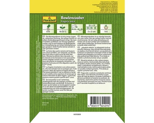 Erdbeere 'Bowlenz' FloraSelf Samenfestes Saatgut Gemüsesamen 4 Erdbeere 'Bowlenz' FloraSelf Samenfestes Saatgut Gemüsesamen – Bild 2