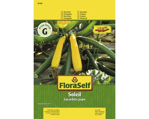 Zucchini 'Soleil' FloraSelf F1 Hybride Gemüsesamen 3 Zucchini 'Soleil' FloraSelf F1 Hybride Gemüsesamen
