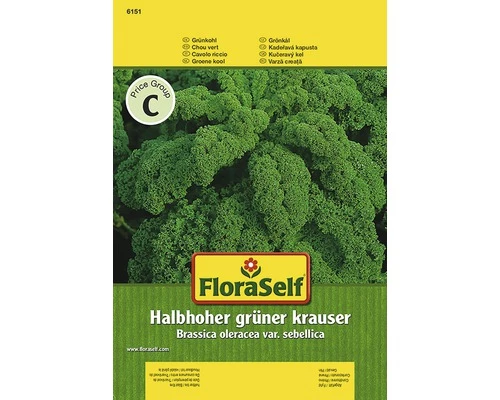 Grünkohl 'Halbhoher Kraus' FloraSelf Samenfestes Saatgut Gemüsesamen 3 Grünkohl 'Halbhoher Kraus' FloraSelf Samenfestes Saatgut Gemüsesamen