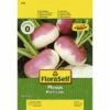 Herbstrübe 'Plessis' FloraSelf F1 Hybride Gemüsesamen 1 Herbstrübe 'Plessis' FloraSelf F1 Hybride Gemüsesamen -Florasellf Geschaft DV 8 6568226 03 4c DE 20180111191051