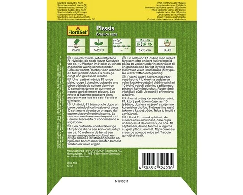 Herbstrübe 'Plessis' FloraSelf F1 Hybride Gemüsesamen 4 Herbstrübe 'Plessis' FloraSelf F1 Hybride Gemüsesamen – Bild 2