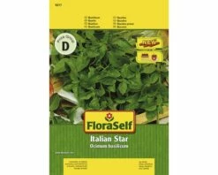 Basilikum 'Italian Star' FloraSelf Samenfestes Saatgut Kräutersamen