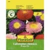 Pompon-Aster FloraSelf Samenfestes Saatgut Blumensamen