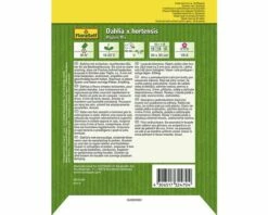 Dahlie 'Mignon' FloraSelf Samenfestes Saatgut Blumensamen 5 Dahlie 'Mignon' FloraSelf Samenfestes Saatgut Blumensamen -Florasellf Geschaft DV 8 6568251 04 4c DE 20180111191525